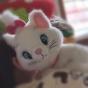 建筑猎头顾问赵女士个人信息_三幸网