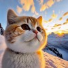 建筑猎头顾问钟益清个人信息_三幸网