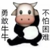 建筑猎头顾问刘家昊个人信息_三幸网
