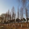 建筑猎头顾问谢奕纯个人信息_三幸网