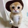 建筑猎头顾问杨沫个人信息_三幸网