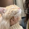 建筑猎头顾问李工个人信息_三幸网