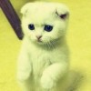 建筑猎头顾问蒋小姐个人信息_三幸网