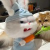 建筑猎头顾问廖女士个人信息_三幸网