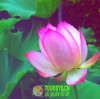 建筑猎头顾问纪老师个人信息_三幸网
