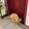 建筑猎头顾问叶松个人信息_三幸网