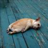 建筑猎头顾问胡工个人信息_三幸网
