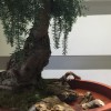 建筑猎头顾问姜女士个人信息_三幸网