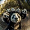 建筑猎头顾问吕志权个人信息_三幸网