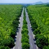 建筑猎头顾问孙劲个人信息_三幸网
