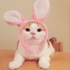 建筑猎头顾问小米个人信息_三幸网