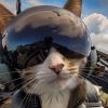 建筑猎头顾问黄个人信息_三幸网