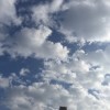 建筑猎头顾问丫丫个人信息_三幸网