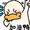建筑猎头顾问赵小姐个人信息_三幸网