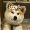 建筑猎头顾问苏澜妤个人信息_三幸网