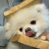 建筑猎头顾问李陈个人信息_三幸网