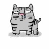 建筑猎头顾问王宇个人信息_三幸网
