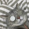 建筑猎头顾问韦个人信息_三幸网
