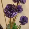 建筑猎头顾问吴工个人信息_三幸网