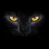 建筑猎头顾问王先生个人信息_三幸网