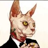 建筑猎头顾问肖晨个人信息_三幸网
