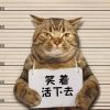 建筑猎头顾问周个人信息_三幸网