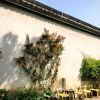 建筑猎头顾问徐工个人信息_三幸网