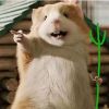 建筑猎头顾问高广志个人信息_三幸网