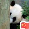 建筑猎头顾问郭小寒个人信息_三幸网