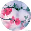 建筑猎头顾问李小姐个人信息_三幸网