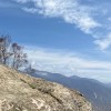 建筑猎头顾问何工个人信息_三幸网