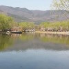 建筑猎头顾问苏振个人信息_三幸网