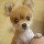 建筑猎头顾问李个人信息_三幸网