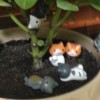 建筑猎头顾问谷惠衍个人信息_三幸网