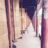 建筑猎头顾问甘小姐个人信息_三幸网