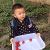 建筑猎头顾问张个人信息_三幸网