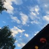 建筑猎头顾问刘念个人信息_三幸网