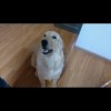 建筑猎头顾问徐工个人信息_三幸网