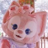 建筑猎头顾问皇甫瑾莹个人信息_三幸网