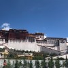 建筑猎头顾问鱼腥草个人信息_三幸网