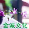 建筑猎头顾问小刘个人信息_三幸网