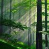 建筑猎头顾问丁工个人信息_三幸网