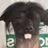 建筑猎头顾问刘洋个人信息_三幸网