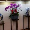 建筑猎头顾问吴先生个人信息_三幸网