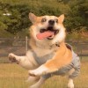 建筑猎头顾问刘友双个人信息_三幸网