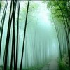 建筑猎头顾问王先生个人信息_三幸网