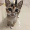 建筑猎头顾问郑工个人信息_三幸网