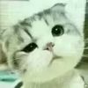 建筑猎头顾问董工个人信息_三幸网