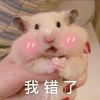 建筑猎头顾问宋三其个人信息_三幸网