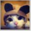建筑猎头顾问小杨个人信息_三幸网